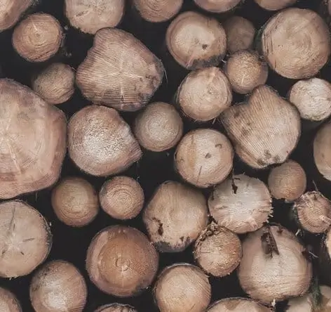 Lemne reprezentative pentru casele din panouri SIP Lemne reprezentative pentru casele din panouri SIP